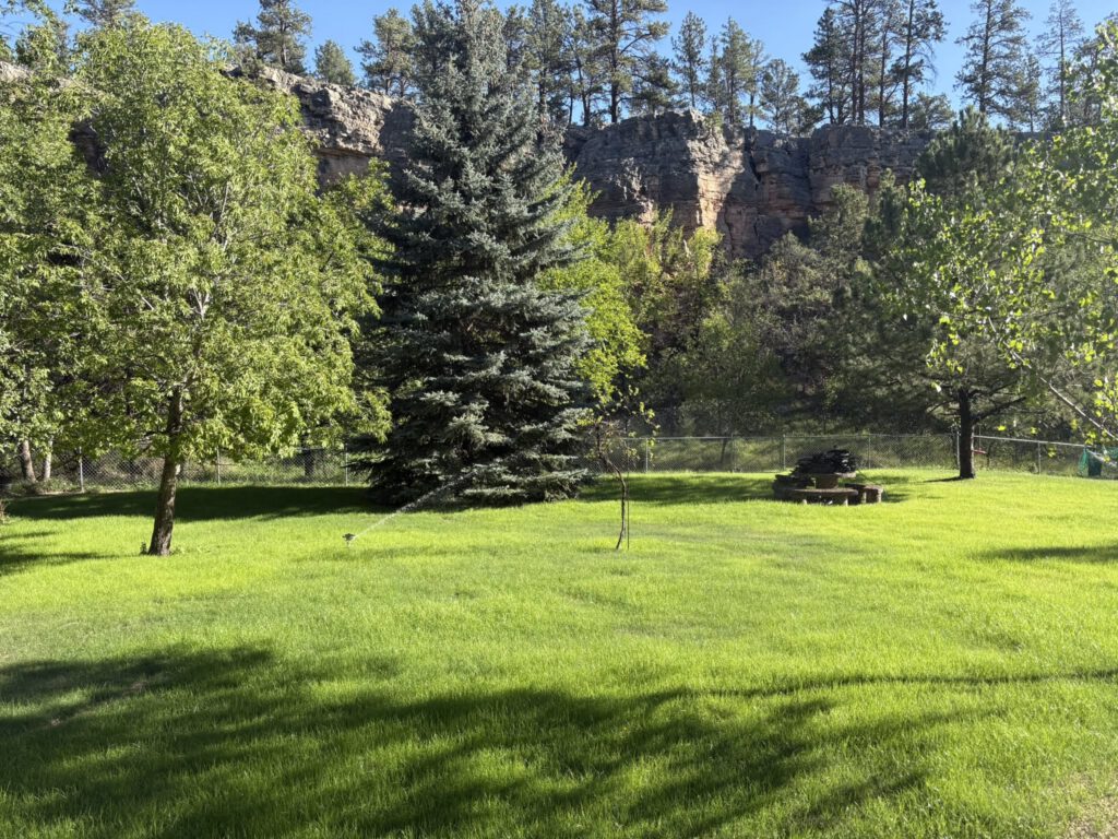 Hydroseeding 1024x768